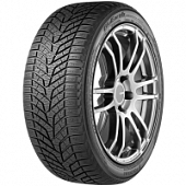 Yokohama BluEarth Winter V905 225/65 R17 102H